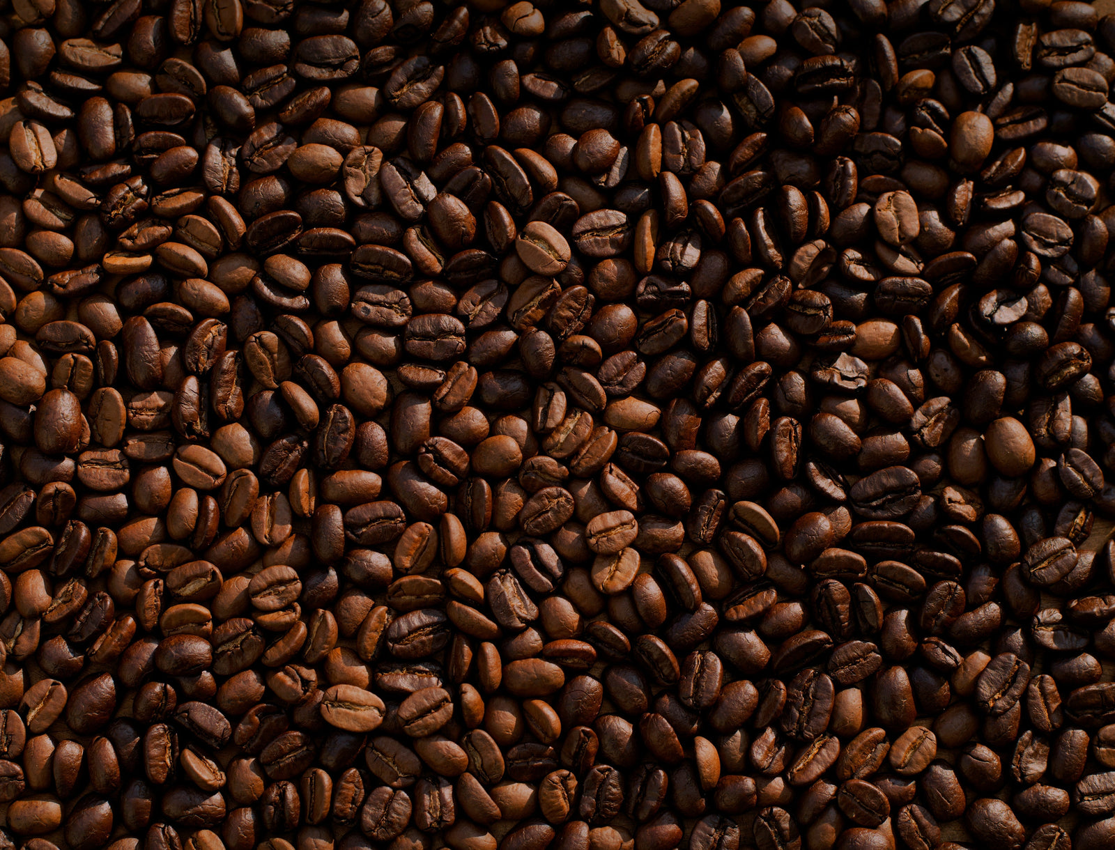 Light vs. Dark Roast: The Caffeine Myth