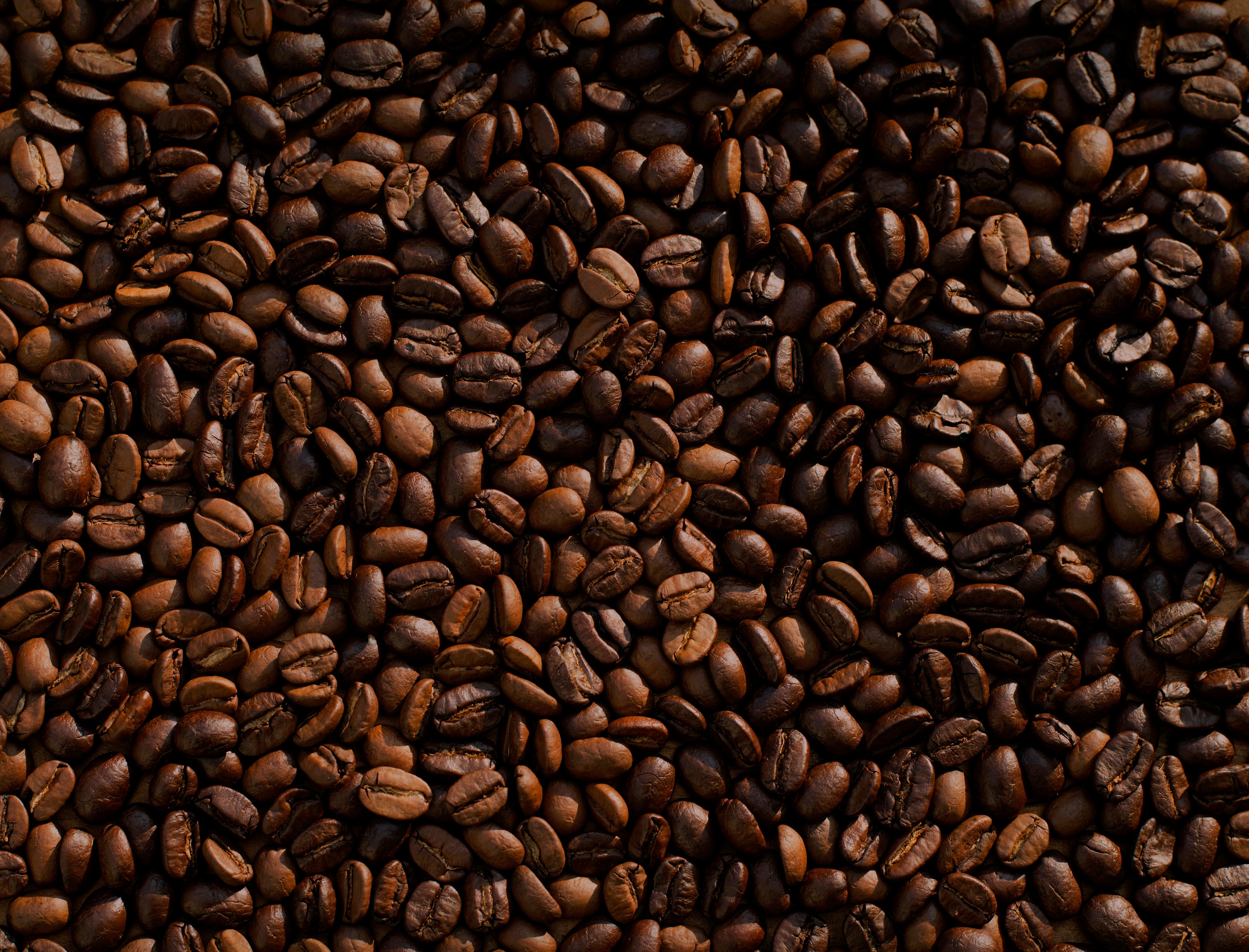Single Origin vs. Blends: What’s the Difference? A Beginner-Friendly G ...